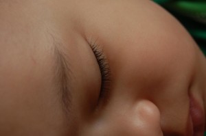 close up sleeping (7)