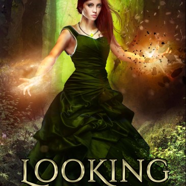 Blog Tour + Giveaway: Looking for Dei by David A. Willson