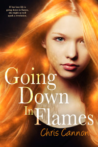 Going Down in Flames by Chris Cannon | tour organized by YA Bound | www.angeleya.com