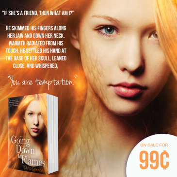 #99cent #booksale: Going Down in Flames by @ccannonauthor @EntangledTeen