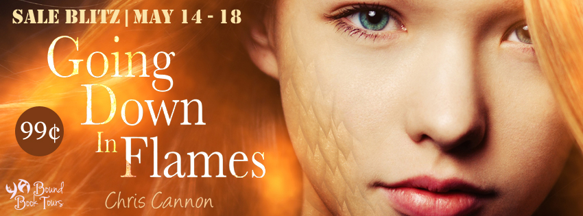 Book Blitz & #99centbook sale: Going Down in Flames by Chris Cannon | tour organized by YA Bound | www.angeleya.com