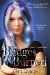 Bridges Burned by Chris Cannon | tour organized by YA Bound | www.angeleya.com