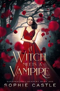 A Witch Meets a Vampire by Sophie Castle | www.angeleya.com
