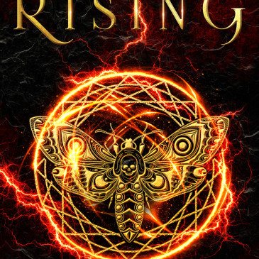 Cover Reveal: Analiese Rising by @brendadrake